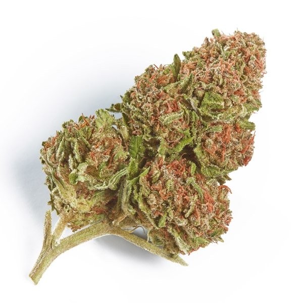 northern-lights.jpg Northern Lights indica cannabis strain dense green buds with resinous trichomes