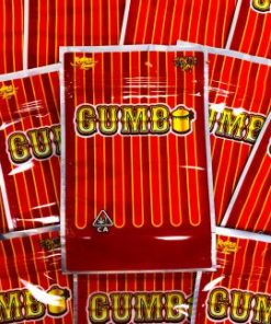 Gumbo cannabis strain: dense green buds with purple hues, earthy aroma, and balanced high.