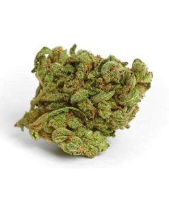 Blue Cheese indica cannabis buds showing resin-coated green and purple flowers with orange pistils