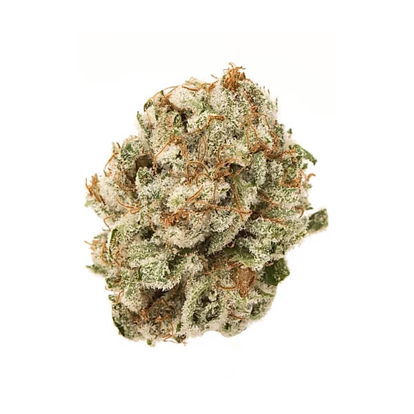 zzz-2.jpg Strawberry Banana indica hybrid cannabis buds with neon green nugs, dark orange hairs, and thick white crystal trichomes
