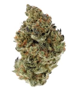 White Grapefruit sativa hybrid cannabis buds with crystal coating, orange hairs, and olive green coloring