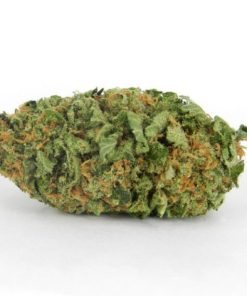 Northern Lights pure indica cannabis flower with dense frosty buds and earthy green coloring