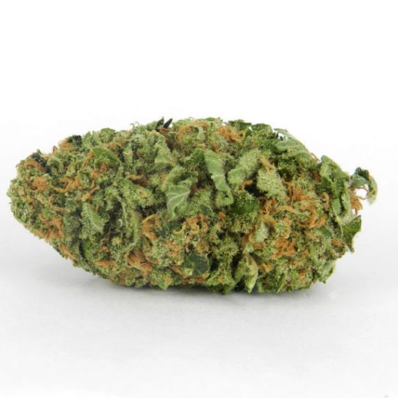 zzz-33.jpg Northern Lights pure indica cannabis flower with dense frosty buds and earthy green coloring