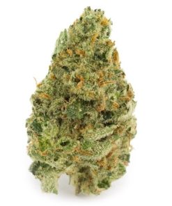 Super Lemon Haze sativa hybrid cannabis buds with dense trichome coverage and speckled green appearance