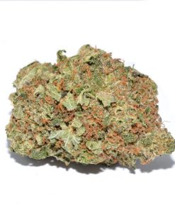 Bubba Kush indica cannabis buds with vivid green and purple coloring coated in amber trichomes