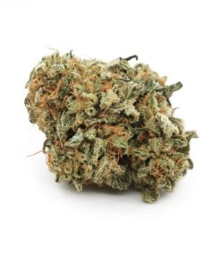 Blue Diesel indica-dominant hybrid cannabis flower with blueberry aroma and high THC content