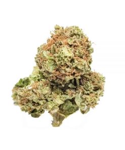 Banana OG indica-dominant hybrid cannabis flower with light green buds and brown hairs